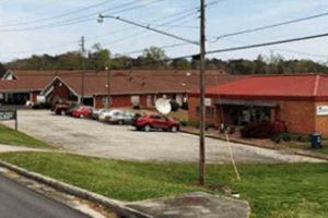 Calhoun County AL Food Stamp Office: Your Guide | Old Stamp Collecting Guide: Discover, Value & Preserve Vintage Stamps