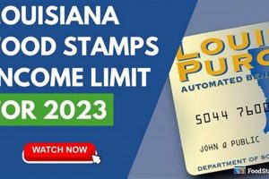 LA Food Stamp Income Limits: 2024 Guide | Old Stamp Collecting Guide: Discover, Value & Preserve Vintage Stamps