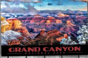 Vintage Postcard Grand Canyon Views &amp; History | Old Stamp Collecting Guide: Discover, Value & Preserve Vintage Stamps