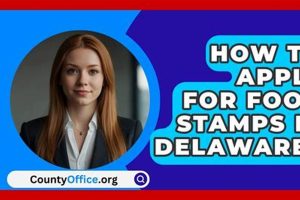 Apply for Delaware Food Stamp Benefits Today | Old Stamp Collecting Guide: Discover, Value & Preserve Vintage Stamps