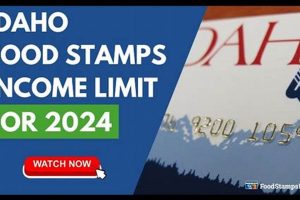 Idaho Food Stamp Limits 2024: SNAP Benefit Guide | Old Stamp Collecting Guide: Discover, Value & Preserve Vintage Stamps