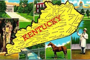 Kentucky Postcard | Old Stamp Collecting Guide: Discover, Value & Preserve Vintage Stamps