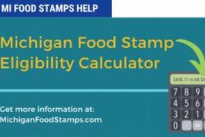 Michigan Food Stamp Program Guide &amp; Benefits | Old Stamp Collecting Guide: Discover, Value & Preserve Vintage Stamps
