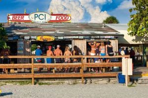 Postcard Inn Beach Bar | Old Stamp Collecting Guide: Discover, Value & Preserve Vintage Stamps