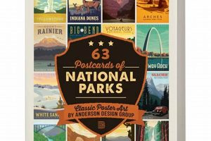 Vintage National Park Postcard Collections | Old Stamp Collecting Guide: Discover, Value & Preserve Vintage Stamps