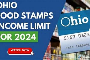 Ohio Food Stamp Portal | Old Stamp Collecting Guide: Discover, Value & Preserve Vintage Stamps