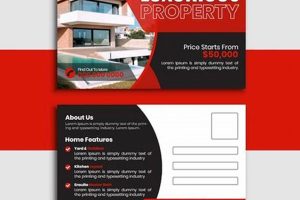 Effective Mailer Postcard Design Tips & Tricks | Old Stamp Collecting Guide: Discover, Value & Preserve Vintage Stamps