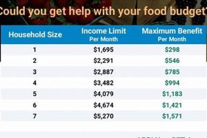 Kansas Food Stamp Income Guidelines 2024 | Old Stamp Collecting Guide: Discover, Value & Preserve Vintage Stamps