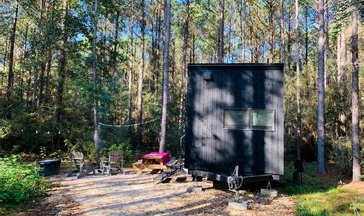 Cozy Postcard Cabins in Brazos Valley, TX | Old Stamp Collecting Guide: Discover, Value & Preserve Vintage Stamps