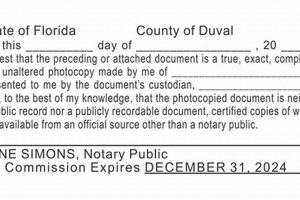 Florida Notary Stamp Requirements & Laws | Old Stamp Collecting Guide: Discover, Value & Preserve Vintage Stamps
