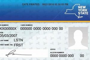 Your NYS Food Stamp Card Guide &amp; FAQs | Old Stamp Collecting Guide: Discover, Value & Preserve Vintage Stamps