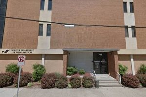 Food Stamp Office Norfolk Va | Old Stamp Collecting Guide: Discover, Value & Preserve Vintage Stamps