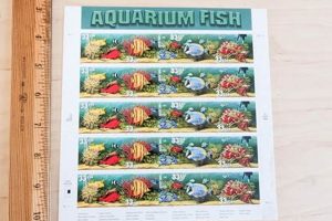 Budget-Friendly Food Stamp Aquarium Ideas | Old Stamp Collecting Guide: Discover, Value & Preserve Vintage Stamps