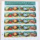 Budget-Friendly Food Stamp Aquarium Ideas | Old Stamp Collecting Guide: Discover, Value & Preserve Vintage Stamps