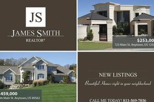 Effective Realtor Postcard Marketing Ideas & Tips | Old Stamp Collecting Guide: Discover, Value & Preserve Vintage Stamps