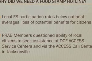 Alabama Food Stamp Hotline: Your SNAP Benefits Guide | Old Stamp Collecting Guide: Discover, Value & Preserve Vintage Stamps