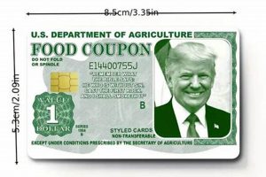 SNAP Card Stickers for Debit Cards: A Guide | Old Stamp Collecting Guide: Discover, Value & Preserve Vintage Stamps