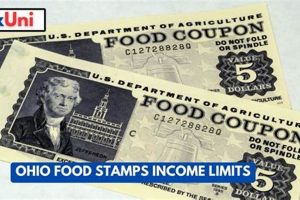 Ohio Food Stamp Income: A Guide & Resources | Old Stamp Collecting Guide: Discover, Value & Preserve Vintage Stamps