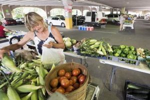 Using Food Stamps at Farmers Markets: A Guide | Old Stamp Collecting Guide: Discover, Value & Preserve Vintage Stamps