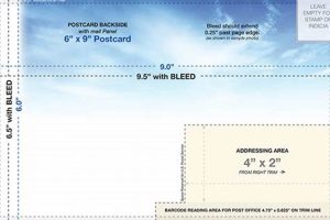 Design & Print 6x9 Postcard Templates | Old Stamp Collecting Guide: Discover, Value & Preserve Vintage Stamps