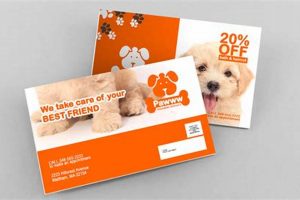 Postcard Marketing Campaign | Old Stamp Collecting Guide: Discover, Value & Preserve Vintage Stamps