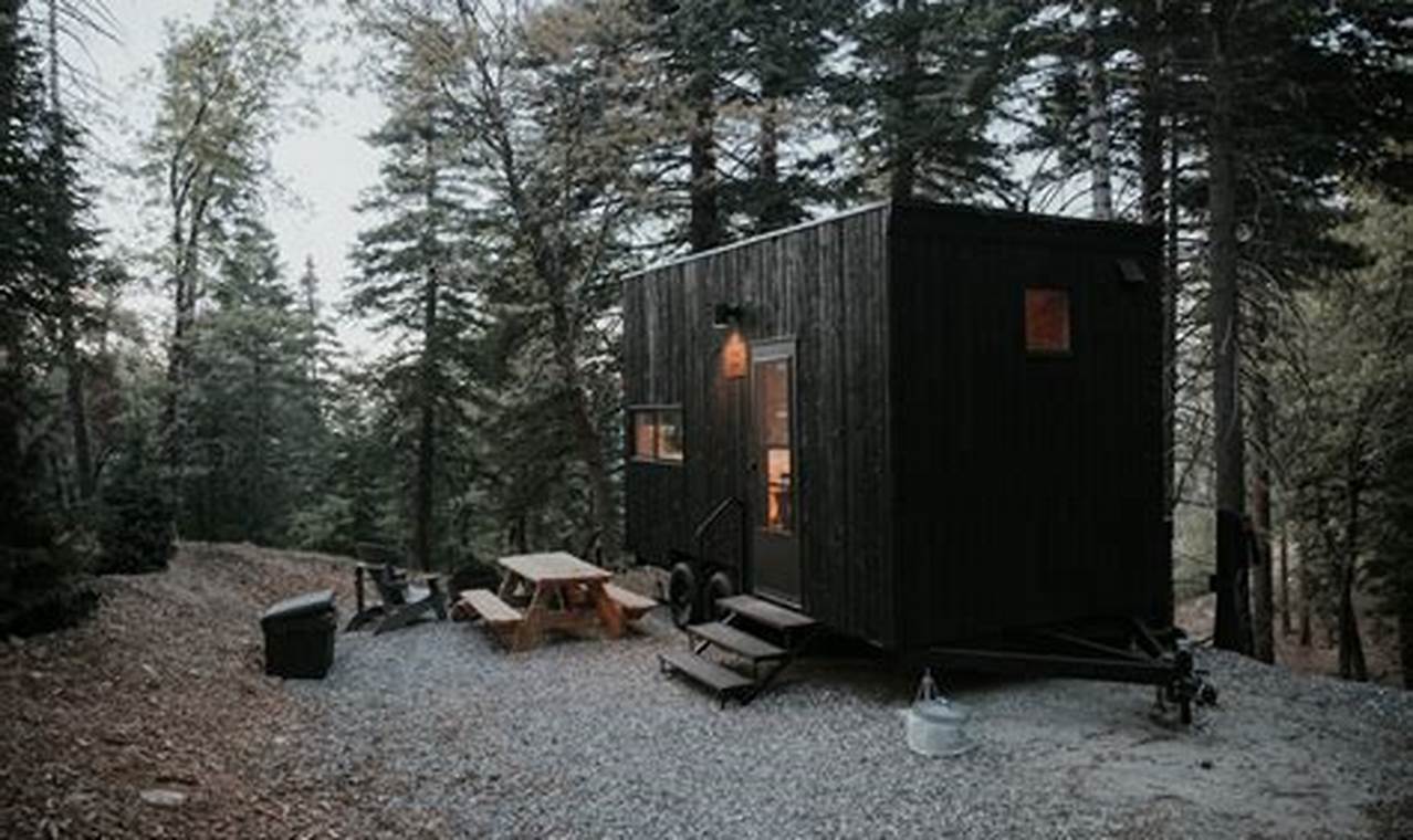 Cozy Starved Rock Postcard Cabins & Getaways | Old Stamp Collecting Guide: Discover, Value & Preserve Vintage Stamps