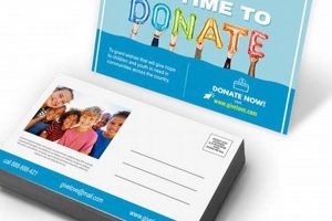 Affordable Bulk Postcard Printing & Mailing Services | Old Stamp Collecting Guide: Discover, Value & Preserve Vintage Stamps