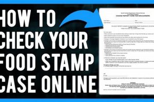 Food Stamp Number Nashville Tn | Old Stamp Collecting Guide: Discover, Value & Preserve Vintage Stamps