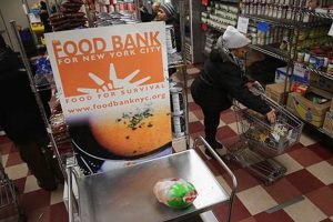 File a Food Stamp Complaint: Get Help Now Old Stamp Collecting Guide: Discover, Value & Preserve Vintage Stamps File a Food Stamp Complaint: Get Help Now | Old Stamp Collecting Guide: Discover, Value & Preserve Vintage Stamps