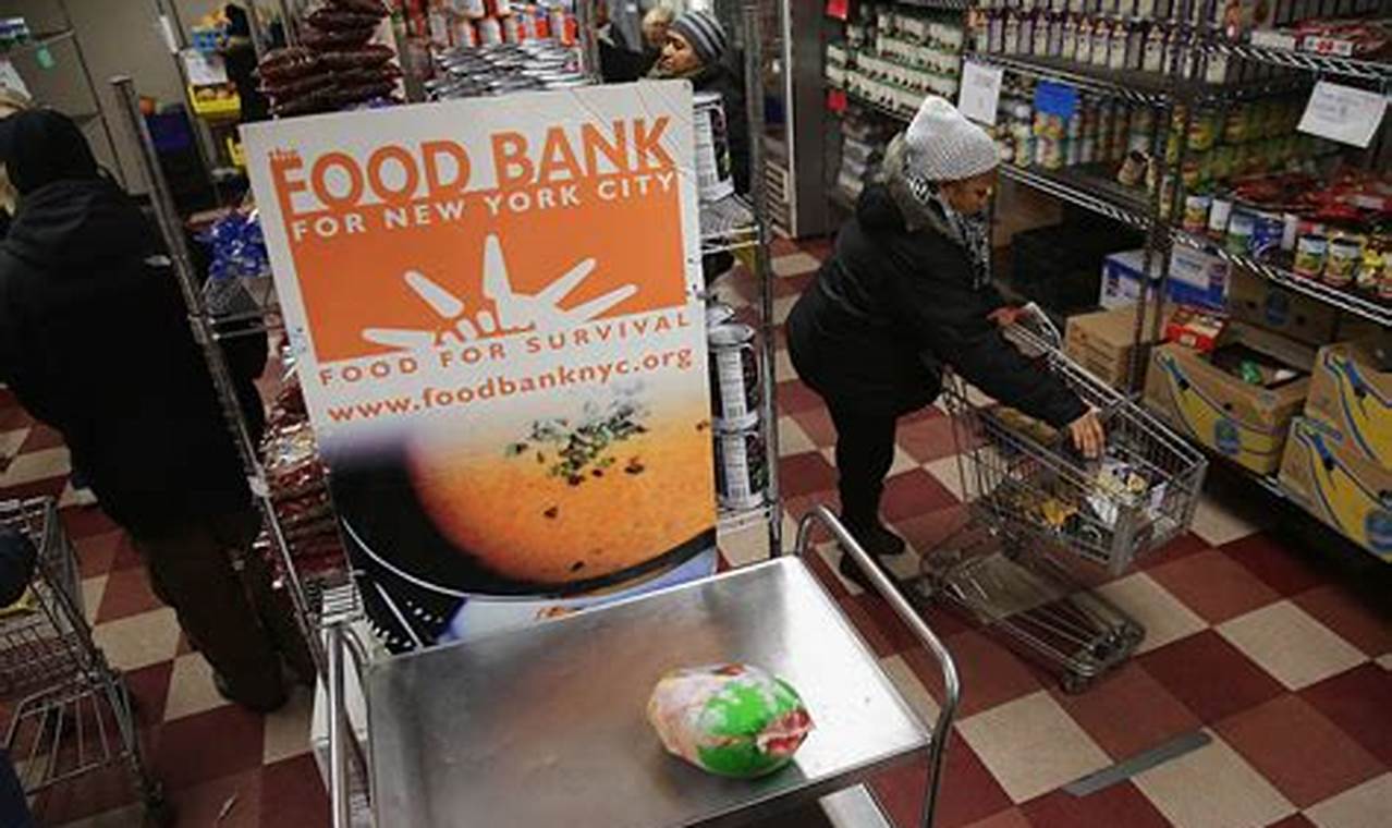 File a Food Stamp Complaint: Get Help Now Old Stamp Collecting Guide: Discover, Value & Preserve Vintage Stamps File a Food Stamp Complaint: Get Help Now | Old Stamp Collecting Guide: Discover, Value & Preserve Vintage Stamps