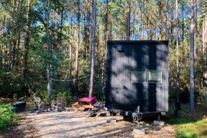 Cozy Postcard Cabins in Navasota, TX Await! | Old Stamp Collecting Guide: Discover, Value & Preserve Vintage Stamps