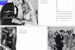 Personalized Postcard Thank You Cards & More | Old Stamp Collecting Guide: Discover, Value & Preserve Vintage Stamps