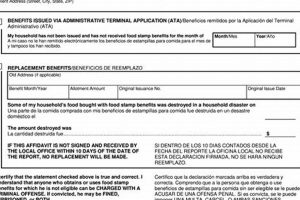 Apply for Illinois Food Stamp Benefits Today | Old Stamp Collecting Guide: Discover, Value & Preserve Vintage Stamps