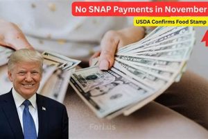 Understanding the Food Stamp Pause Impact Old Stamp Collecting Guide: Discover, Value & Preserve Vintage Stamps Understanding the Food Stamp Pause Impact | Old Stamp Collecting Guide: Discover, Value & Preserve Vintage Stamps