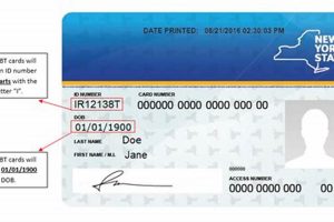 Phone Number For Lost Food Stamp Card Old Stamp Collecting Guide: Discover, Value & Preserve Vintage Stamps Phone Number For Lost Food Stamp Card | Old Stamp Collecting Guide: Discover, Value & Preserve Vintage Stamps