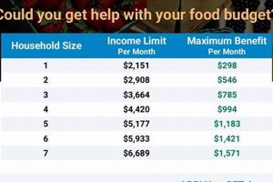 Illinois Food Stamp Income Limits & Guidelines 2024 Old Stamp Collecting Guide: Discover, Value & Preserve Vintage Stamps Illinois Food Stamp Income Limits & Guidelines 2024 | Old Stamp Collecting Guide: Discover, Value & Preserve Vintage Stamps