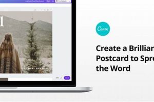 Create & Print Postcards Online | Easy & Fast | Old Stamp Collecting Guide: Discover, Value & Preserve Vintage Stamps