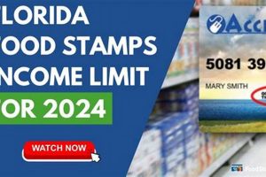 Florida Food Stamp Estimator: Check Eligibility Old Stamp Collecting Guide: Discover, Value & Preserve Vintage Stamps Florida Food Stamp Estimator: Check Eligibility | Old Stamp Collecting Guide: Discover, Value & Preserve Vintage Stamps
