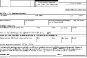 Download SC Food Stamp Application PDF Now | Old Stamp Collecting Guide: Discover, Value & Preserve Vintage Stamps