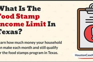 Food Stamp Maximum Income Texas Old Stamp Collecting Guide: Discover, Value & Preserve Vintage Stamps Food Stamp Maximum Income Texas | Old Stamp Collecting Guide: Discover, Value & Preserve Vintage Stamps