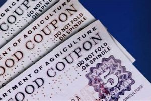 Nj Food Stamp Program | Old Stamp Collecting Guide: Discover, Value & Preserve Vintage Stamps