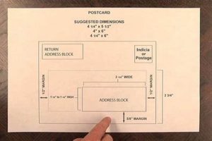 Essential Postcard Guidelines for Successful Mailing | Old Stamp Collecting Guide: Discover, Value & Preserve Vintage Stamps