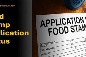 Access TN Food Stamp Portal: Apply Now | Old Stamp Collecting Guide: Discover, Value & Preserve Vintage Stamps