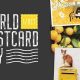 Celebrate World Postcard Day 2024! | Old Stamp Collecting Guide: Discover, Value & Preserve Vintage Stamps
