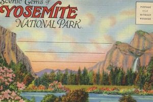 Classic Vintage Yosemite Postcards for Collectors | Old Stamp Collecting Guide: Discover, Value & Preserve Vintage Stamps