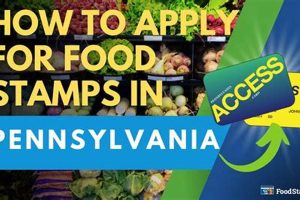 Pennsylvania Food Stamp Application | Old Stamp Collecting Guide: Discover, Value & Preserve Vintage Stamps