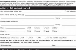 Apply for Colorado Food Stamp Benefits Today! | Old Stamp Collecting Guide: Discover, Value & Preserve Vintage Stamps