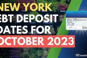 Food Stamp Balance Nyc | Old Stamp Collecting Guide: Discover, Value & Preserve Vintage Stamps