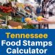 Selmer Tn Food Stamp Office | Old Stamp Collecting Guide: Discover, Value & Preserve Vintage Stamps