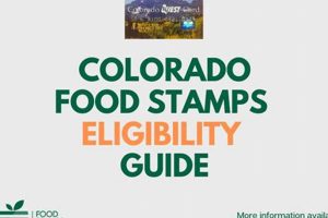 Access Colorado Food Stamp Program Benefits | Old Stamp Collecting Guide: Discover, Value & Preserve Vintage Stamps